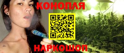 прущие грибы Партизанск