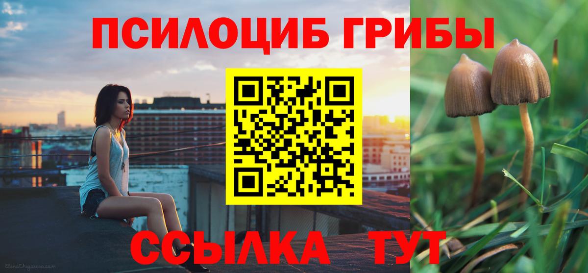 Псилоцибиновые грибы GOLDEN TEACHER Санкт-Петербург