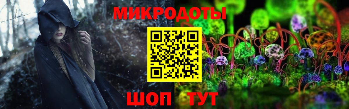 Галлюциногенные грибы Psilocybe  Галлюциногенные грибы GOLDEN TEACHER  Вход с VPN  Санкт-Петербург 